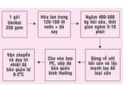 LÀM GÌ ĐỂ NÂNG CAO HIỆU SỬ DỤNG BỘT UMIKAI TRONG BẢO QUẢN THỦY SẢN